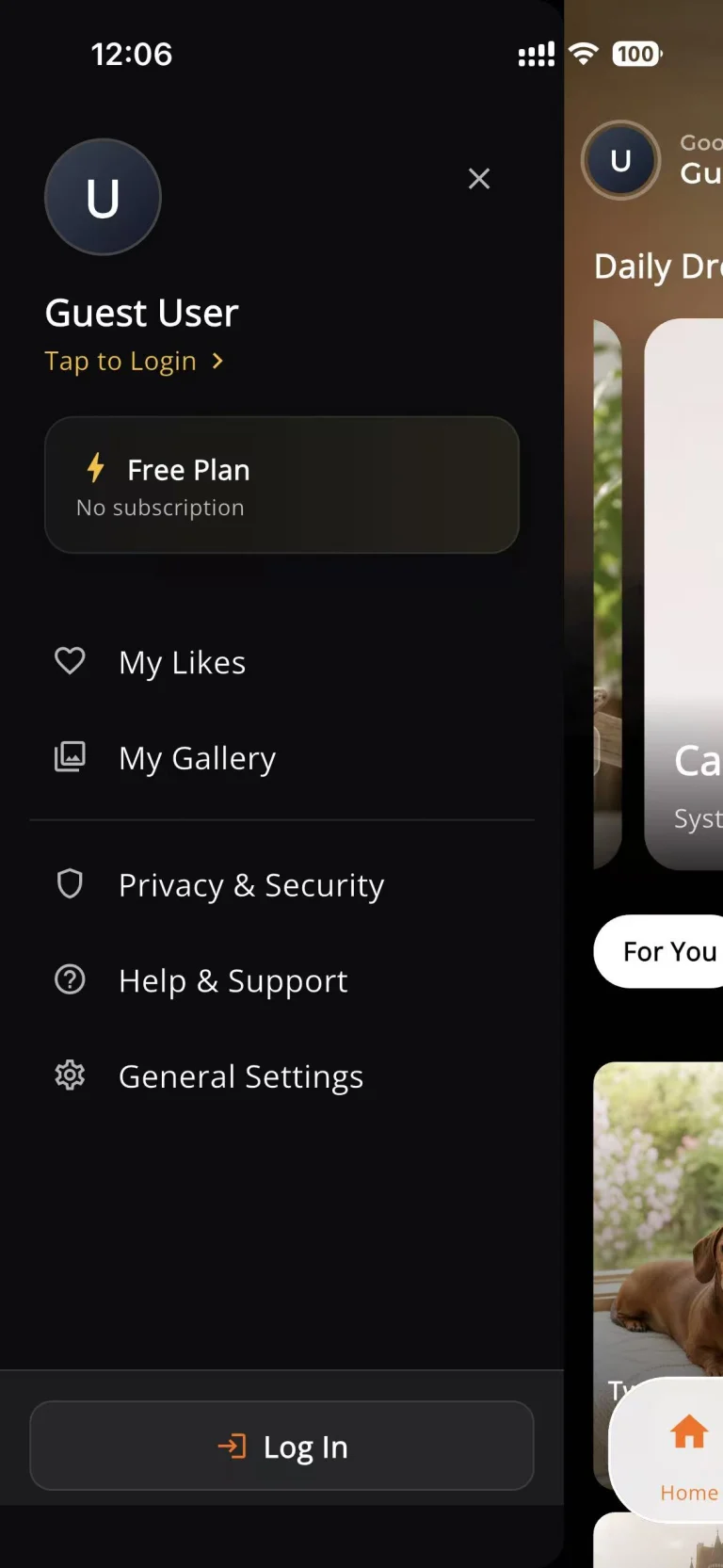 2. In the account menu, tap Log In