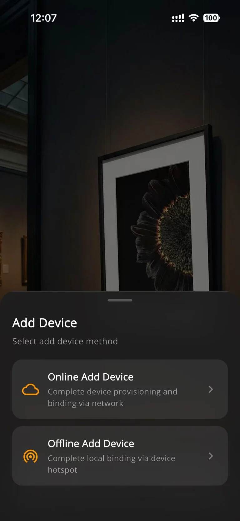 5. Select Online Add Device